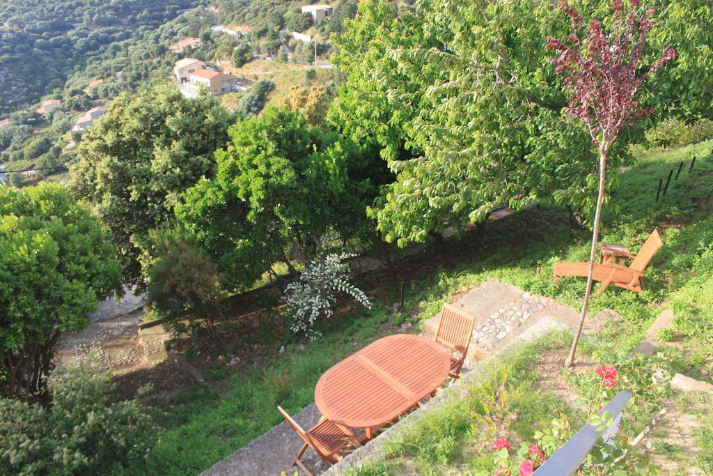 Hotel Le Niobel - Hotel De Charme Belgodère Cameră foto
